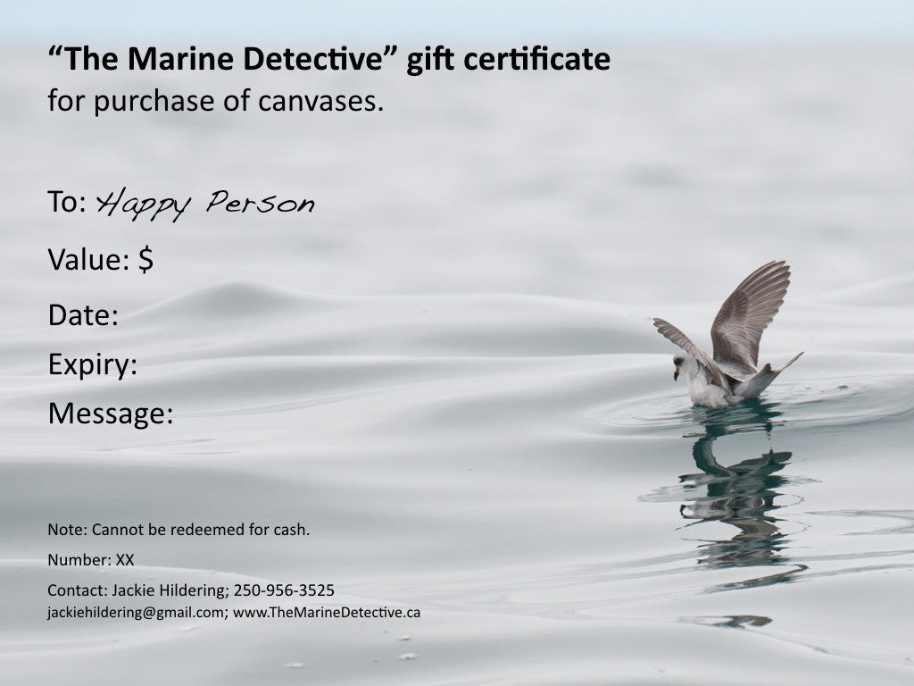 General Gift Certificate