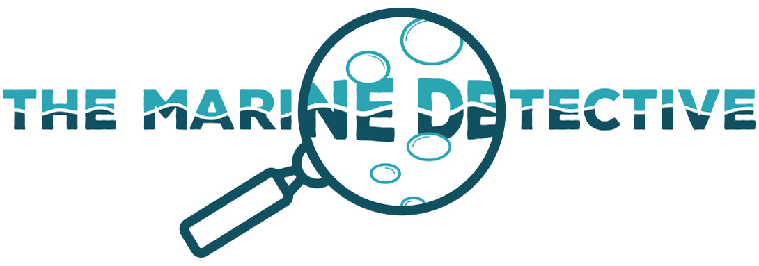 The Marine Detective