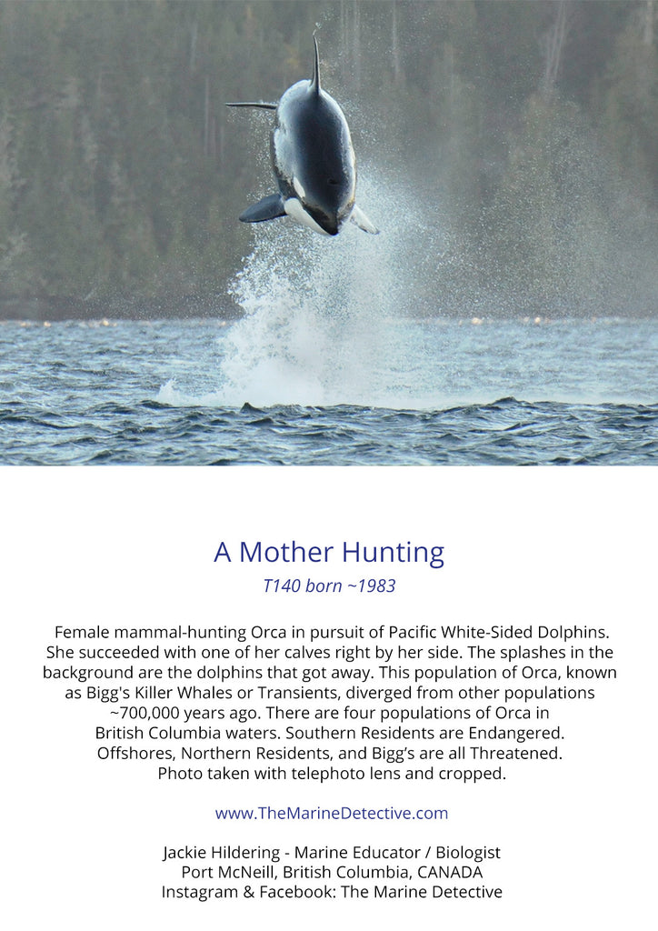 A Mother Hunting