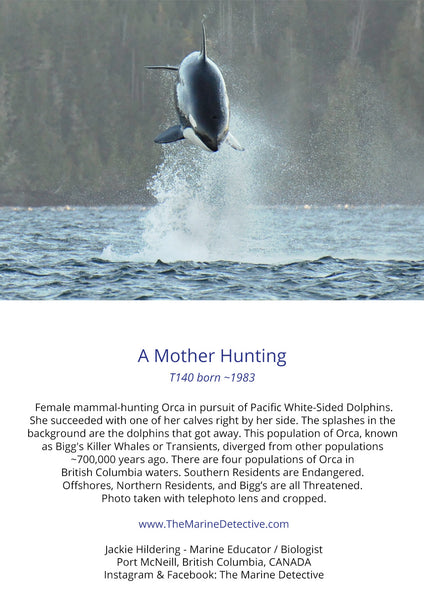 A Mother Hunting