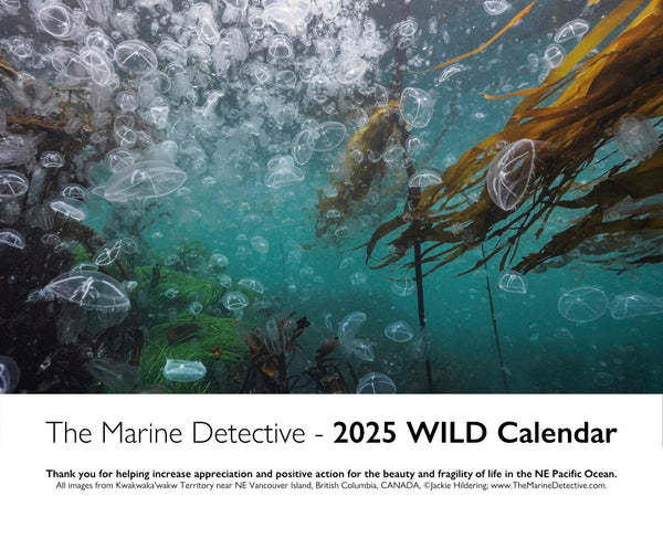 WILD 2025 Calendar