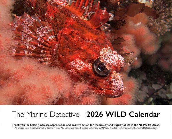 WILD 2026 Calendar
