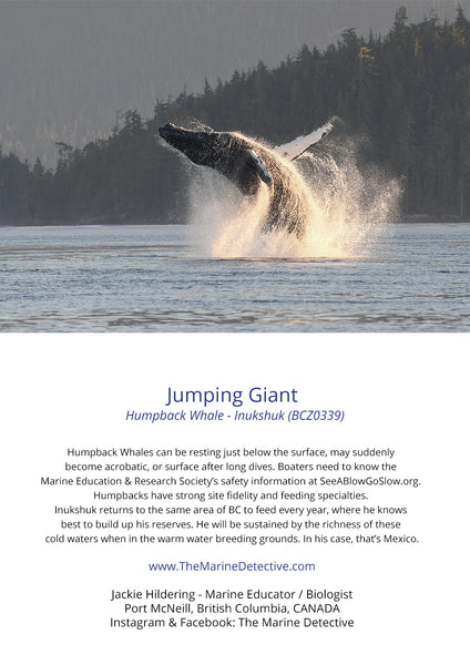 Jumping Giant - Humpback Whale Inukshuk