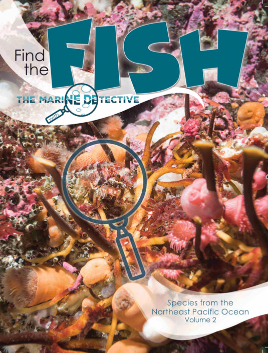 Book - Find the Fish (second edition)