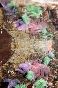Vertical Canvas - Ochre Stars at Surface